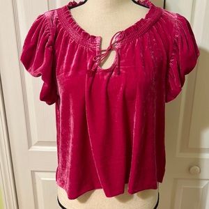 NWT Free People Terese Velvet Ruffled Puffed Sleeve Top Pink Phenomenon